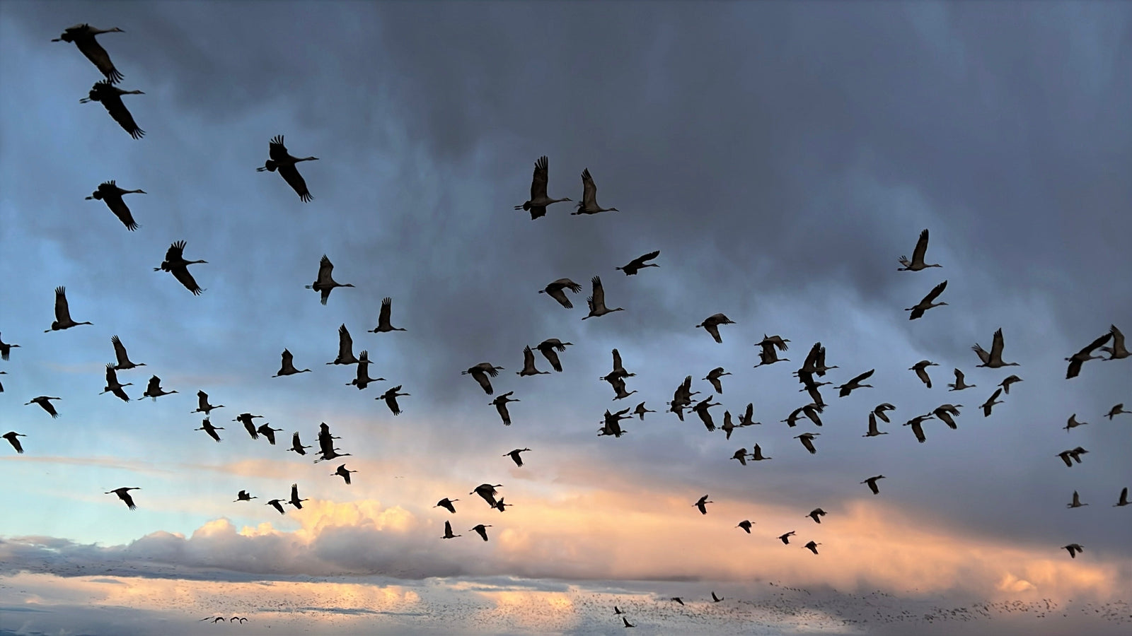 Ancient Migration and Shared Values