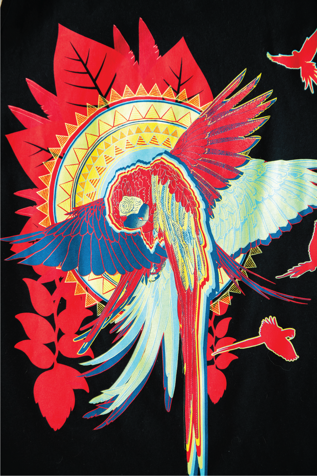 Colorful parrot design on a black background