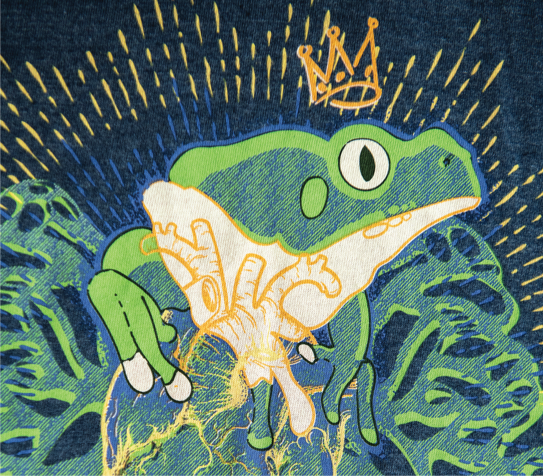 Illustration of a frog with a crown on a textured blue background